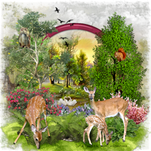 psp lessen mistys-creations.nl